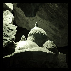 Expudice ètvrtá - Bozkovická jeskynì