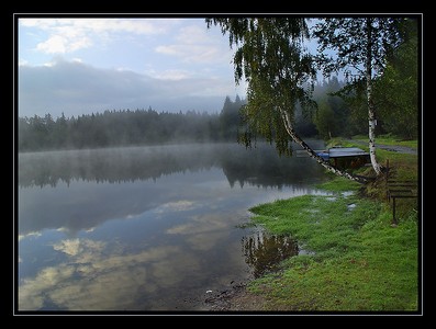 Ráno u Milovského rybníka